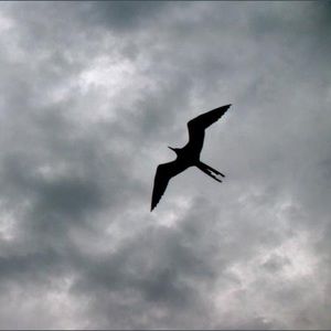 Meet your Posher, Nathan